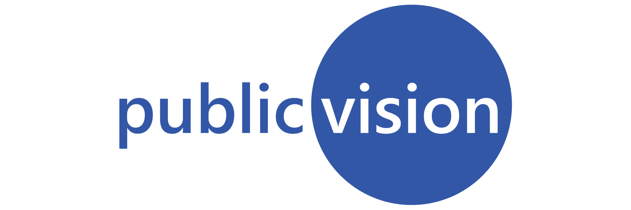 Logo public vision
